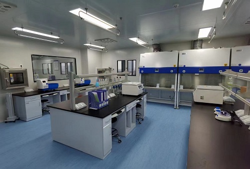 實(shí)驗(yàn)室凈化工程