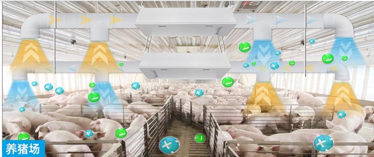 養(yǎng)殖場除臭設(shè)備