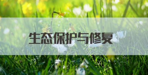 一些具體的環(huán)境修復(fù)方法【推薦】